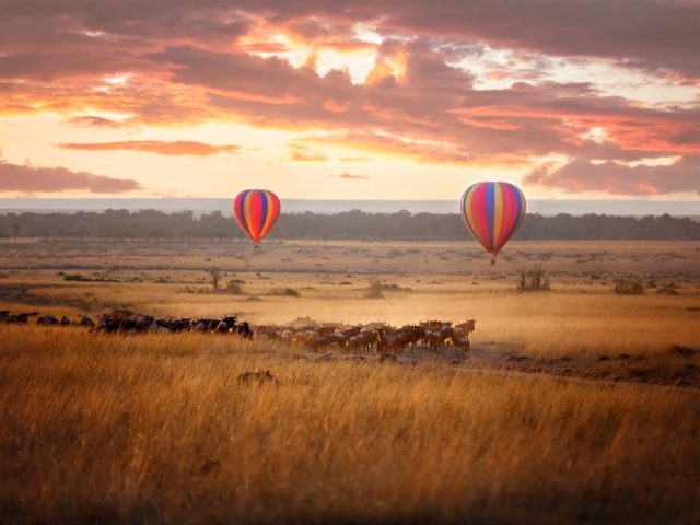 kenya periodo migliore